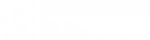 Synergy Core Logo White
