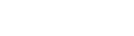 Synergy Core Logo White